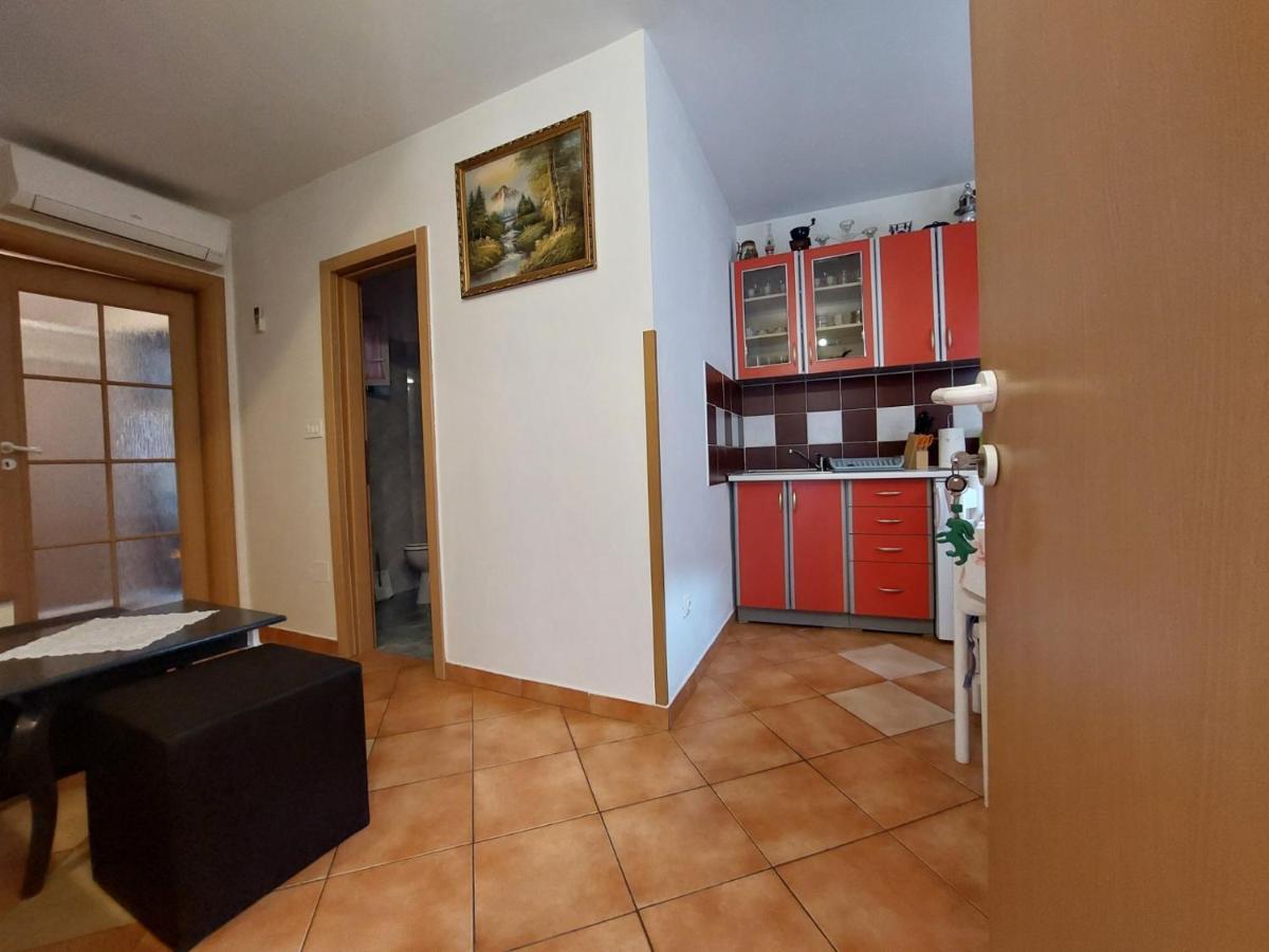 Leona Apartment Novigrad  Ngoại thất bức ảnh